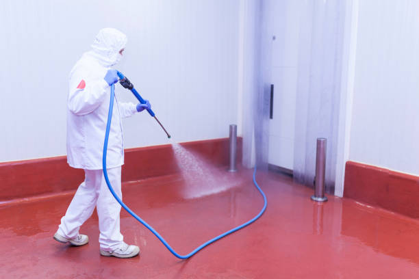 Best Restaurant Pressure Washing  in Hartselle, AL